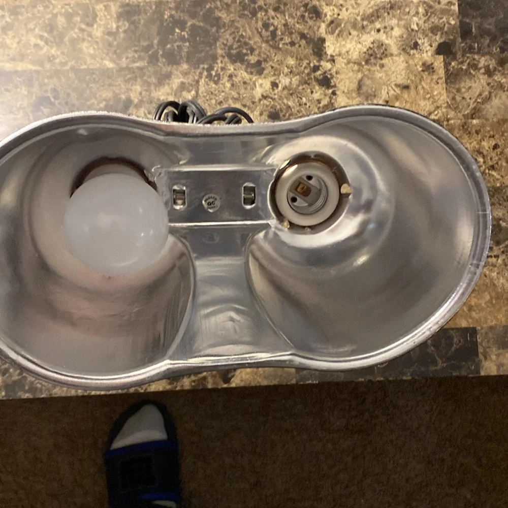 A dual reptile lights